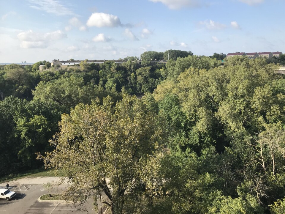 Fort Snelling