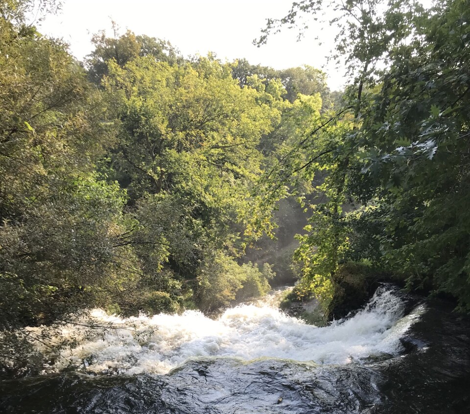 Minneha