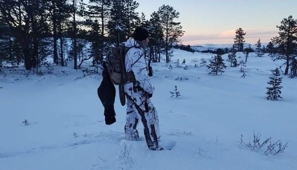 Tiurjakt. En man kledd i hvit kamuflasjeklær med ryggsekk. En tiur er flelt og henger bak på ryggsekken. Gevær henger på sekken. Vinterlandskap