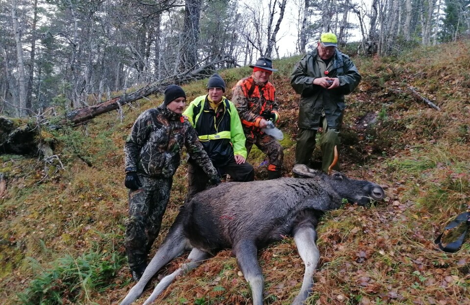 Geir Ove sammen med jaktlaget. F.v. Geir Ove Lo, Lars John Haugen, Paul Lilleløkken og Jon Lilleløkken. 4 menn står bak en elg som er falt. Tatt i skogen med høstfarger