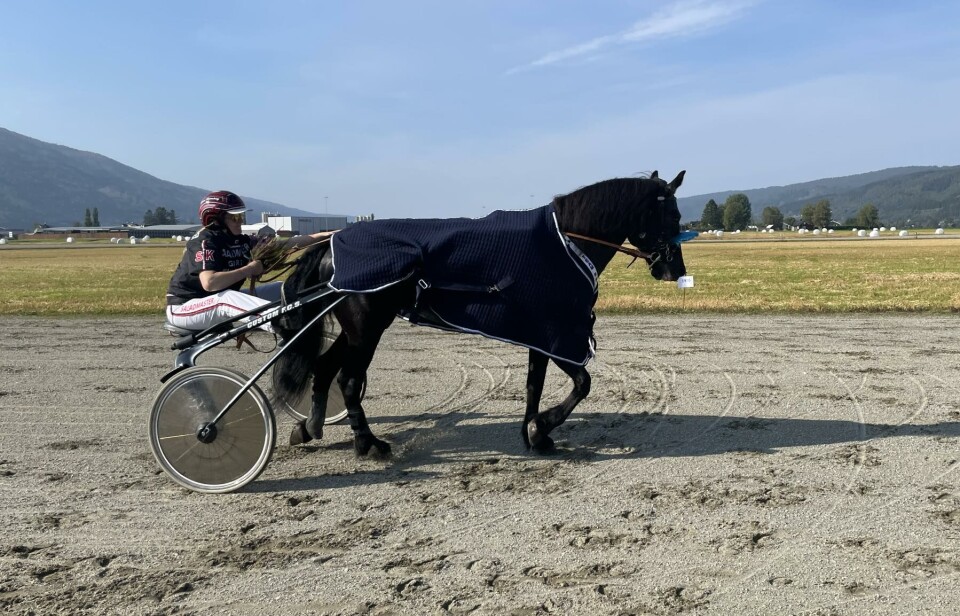 B.B. Aylar og Stine Kvernberg. En hest med rytter
