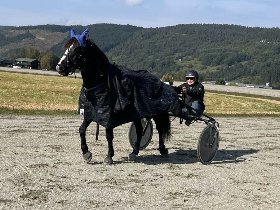 Stensvik Emil og Gaute Inge Helseth. En mann er kusk til en hest