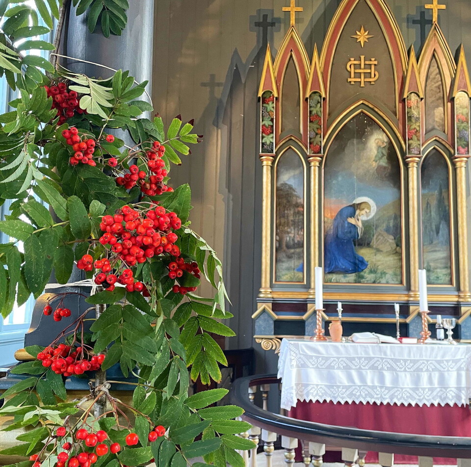 Tema: Takk! Rognbærkvister foran alteret i ei kirke.