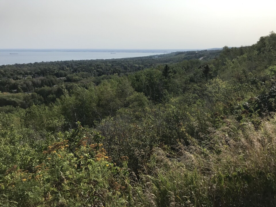 Utsikt fra Hawk Ridge med deler av byen og Lake Superior. Utsikt over skog og en stor innsjø.