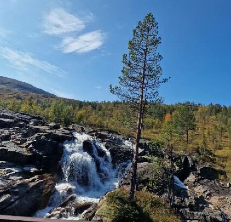 En liten foss i et fjellandskap.