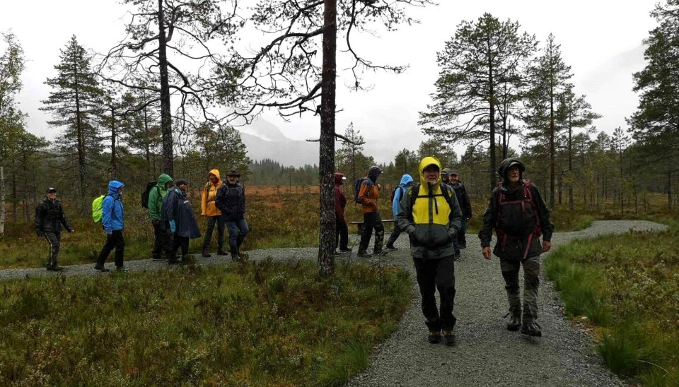 Fjellgruppa på tur på Kavlvegen Turgåere i regntøy på en gruslagt sti i marka.
