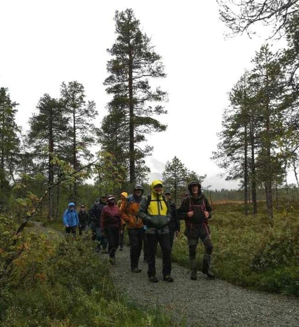 Fjellgruppa på tur på Kavlvegen Turgåere i regntøy på en gruslagt sti i marka.