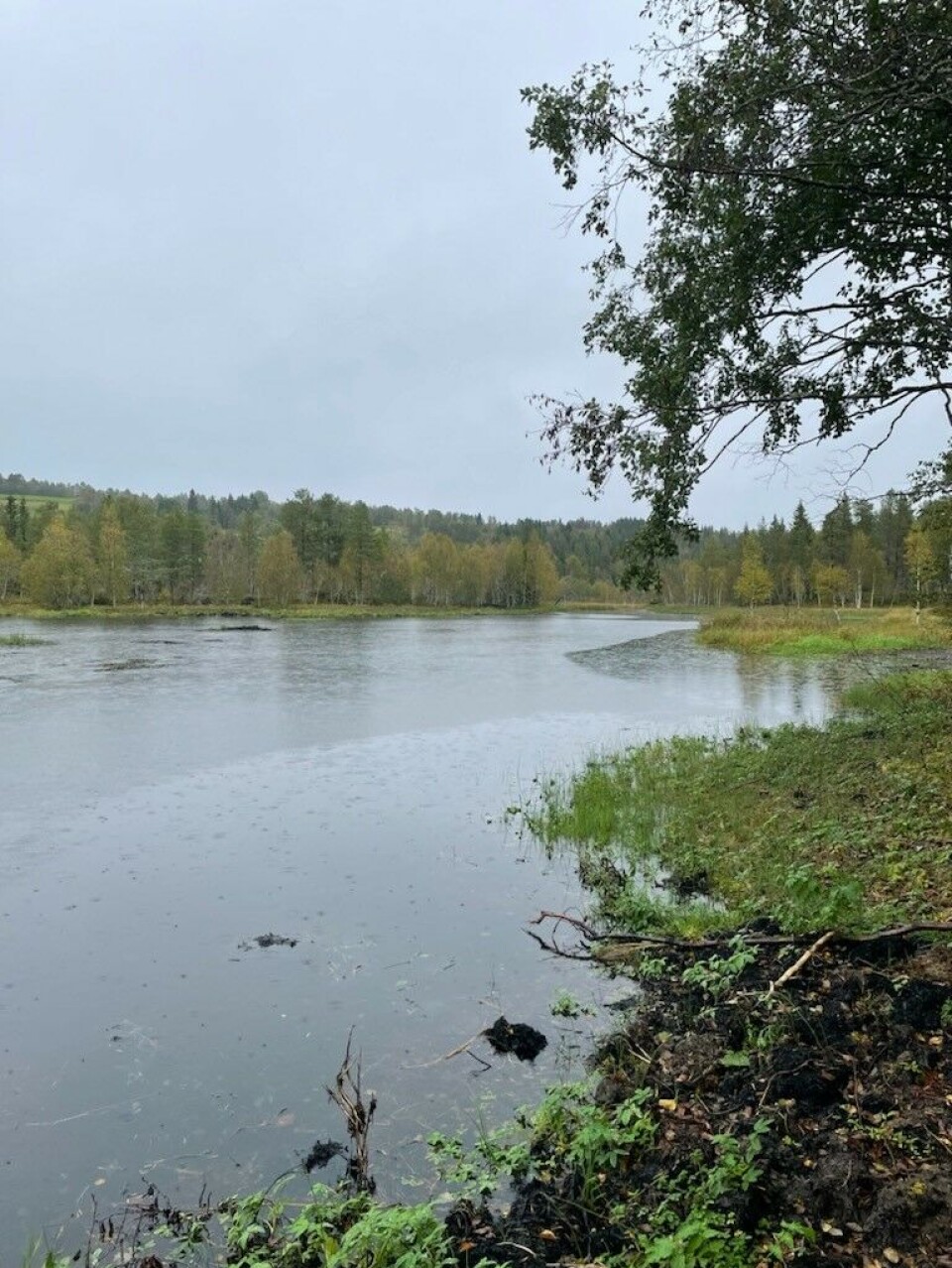 Tirsdagstur og kanalåpning ved Rørvatnet Ei elv.