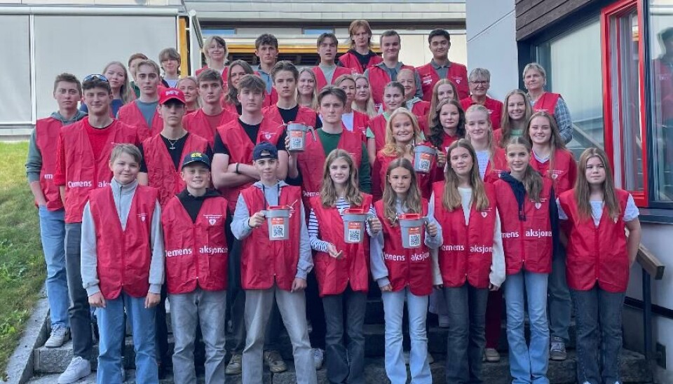 'Innsats fra andre' med elever fra åttende og niende trinn fra SUBUS og russ fra Surnadal vgs. hjalp til med å samle inn penger til demensaksjonen. Mange ungdommer står oppstilt i en stor trapp. De har vester. Noen holder bøsser.