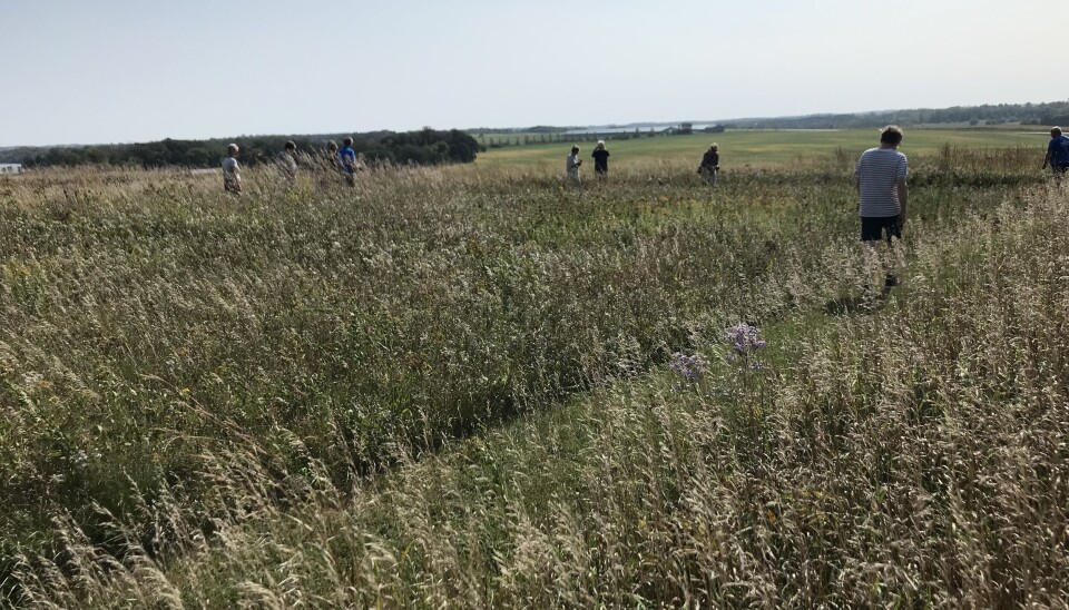 Fort Juelson Utsikt over åker og enger