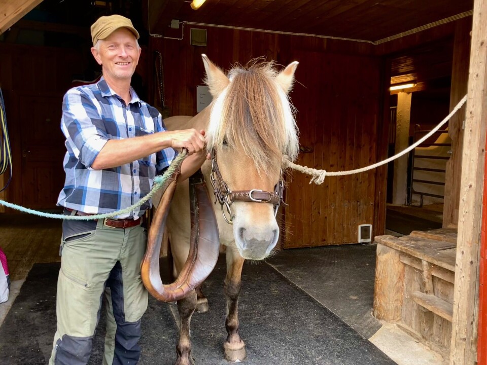 Anders Sæther Moen gir seg som dyrlege, og er klar for å bruke mye tid på hest fremover. Mann ved siden av en fjordhest som står bundet.
