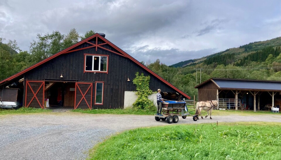 Anders har som mål å utnytte de hestekreftene som finnes i en hest, og gjør så mye som mulig av de daglige gjøremålene ved hjelp av hesten. Mann som kjører med en spesialbygd vogn bak en fjordhest. Brun stallbygning i bakgrunnen.