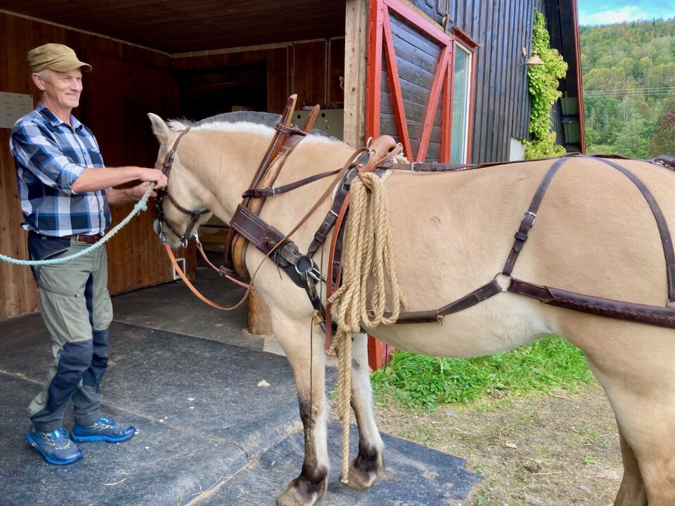 Anders er dreven i salmakerfaget, og har blant annet sydd denne arbeidssela selv. Mann som seler opp en fjordhest