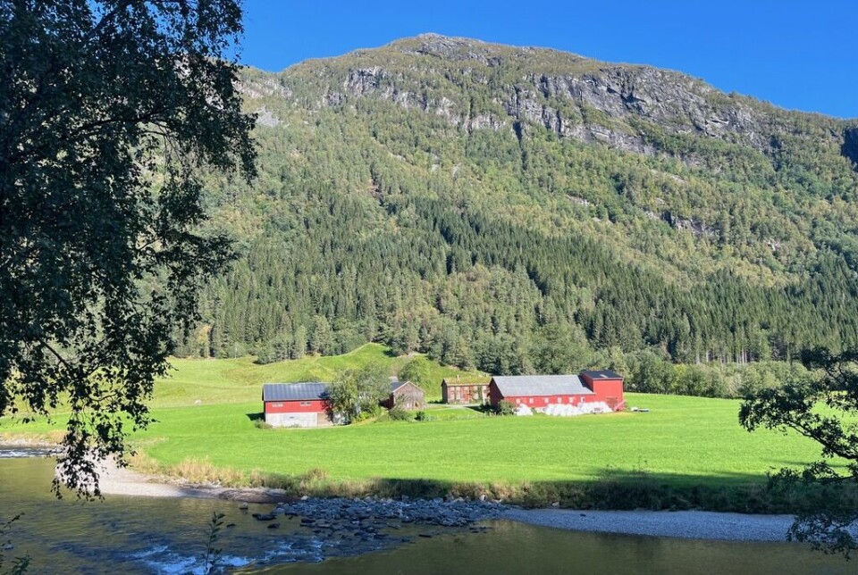 Ramsøya, garden der Alf vart fødd og voks opp. Han dreiv også garden i nokre år. En gård ved et fjell.