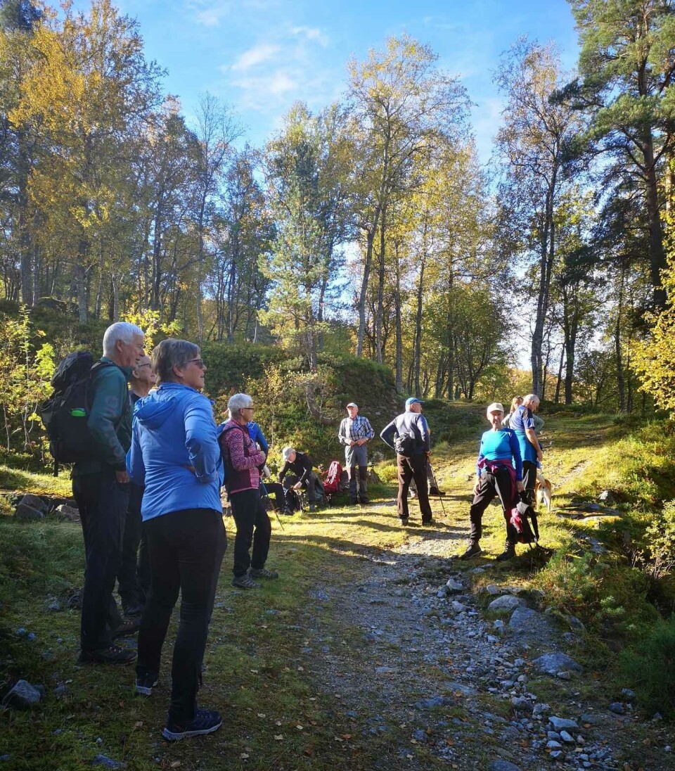 Pust i bakken. Ei gruppe turgåere som har stoppet for å ta en hvil.