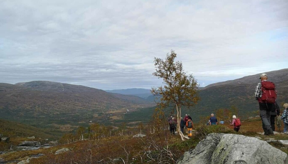 På heimtur. Flere turgåere på rekke på en tursti i et fjellandskap.