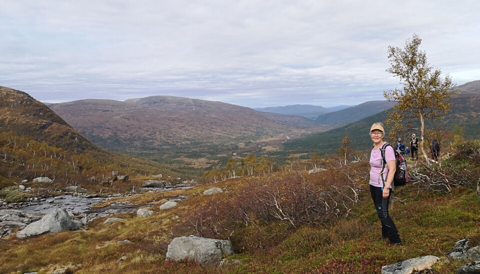 Fjellgruppetur til Vassdalen Ei dame med ryggsekk i et fjellandskap.