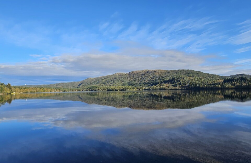 Grønlivatnet og Tifjellet en fin september ettermiddag