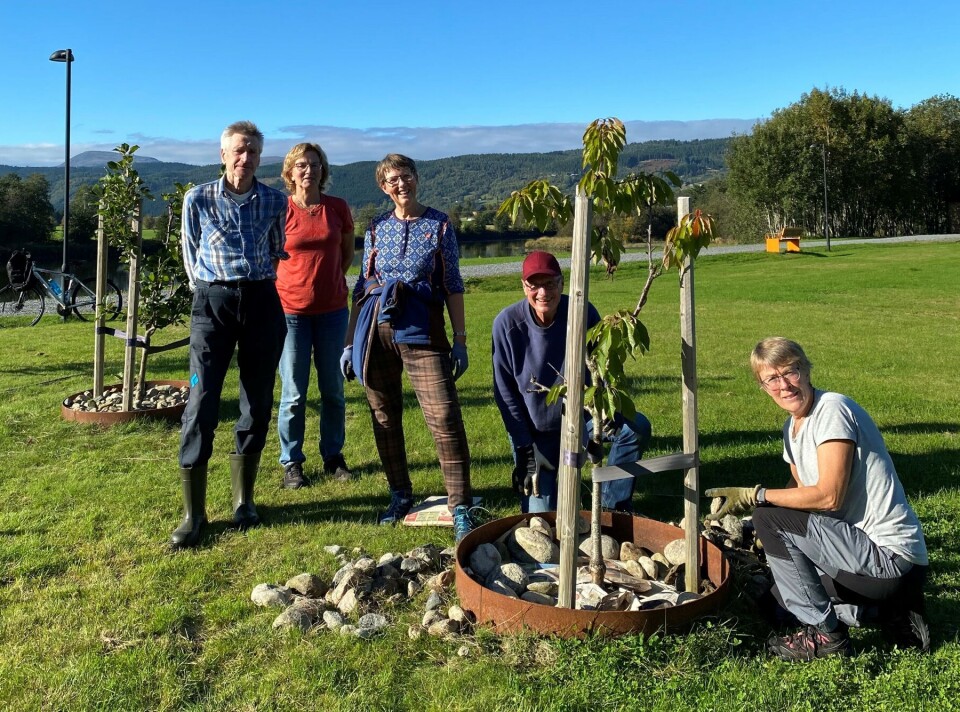 Medlemmer i Surnadal hagelag stiller velvillig opp på fri villig arbeid i Svartvassparken. F.v. Kjell Bævre, Sissel Aasgård, Ingrid Øyen Sponås, Svein Olav Svinvik og Ragnhild Hausberg. Fem personer som er stilt opp fot fotografering ved en rododendron-plante i en park.