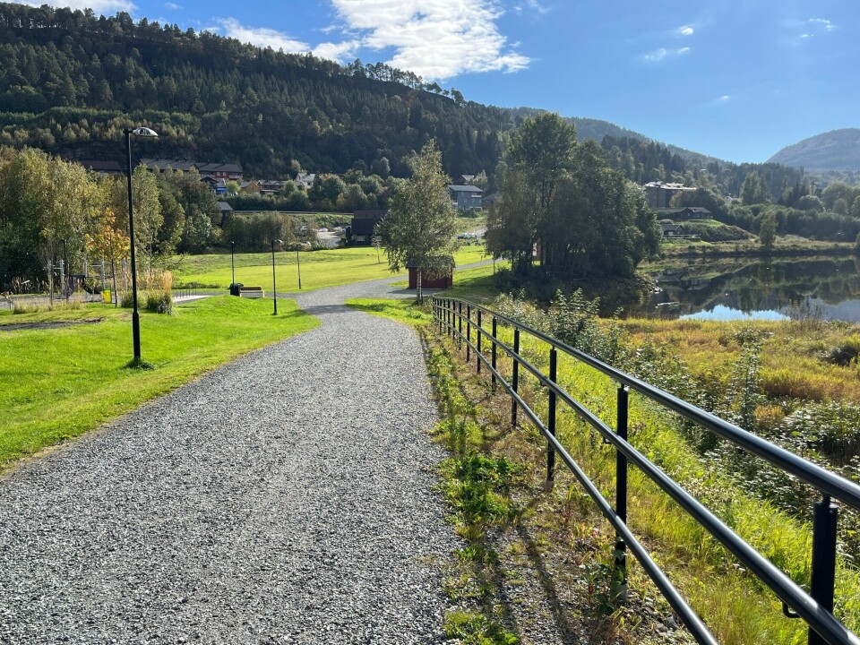En nydelig dag i parken. Et grønt parkområde ved et vann.