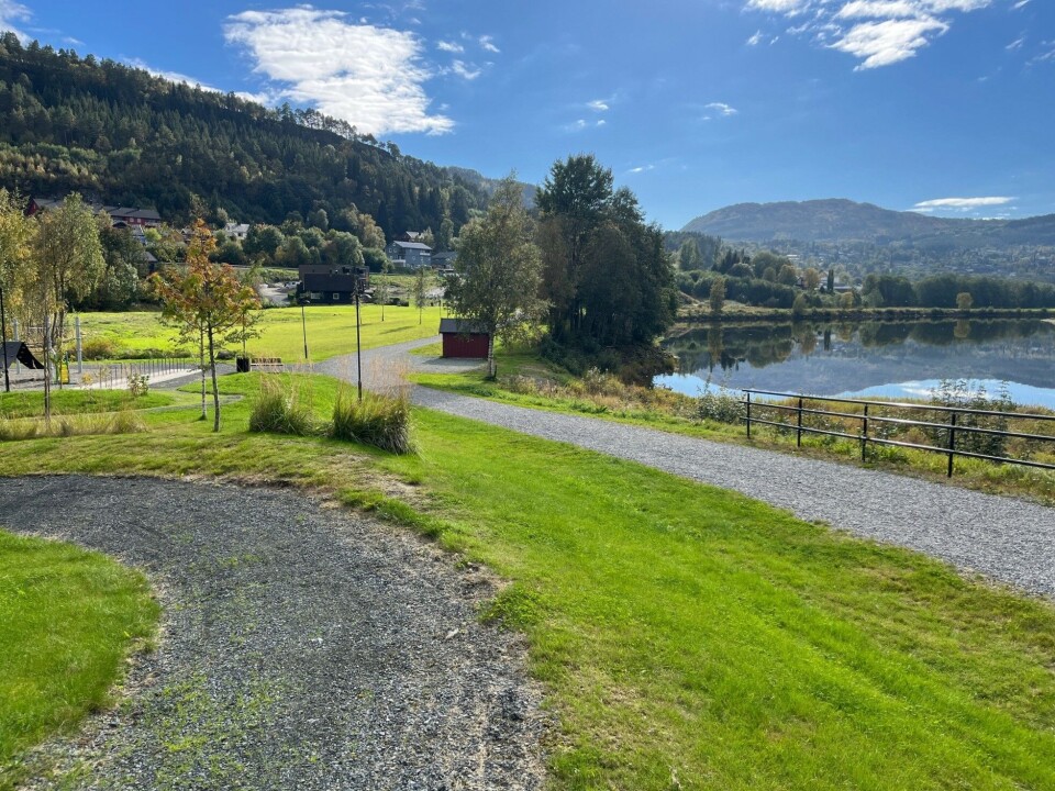 En nydelig dag i parken. Et grønt parkområde ved et vann.