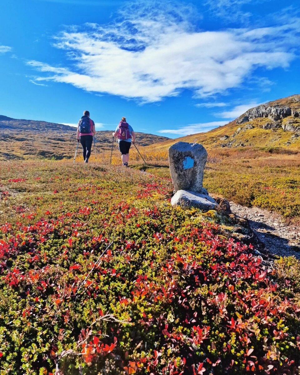 🍁 Høsten 🍁 To kvinner på tur på fjellet
