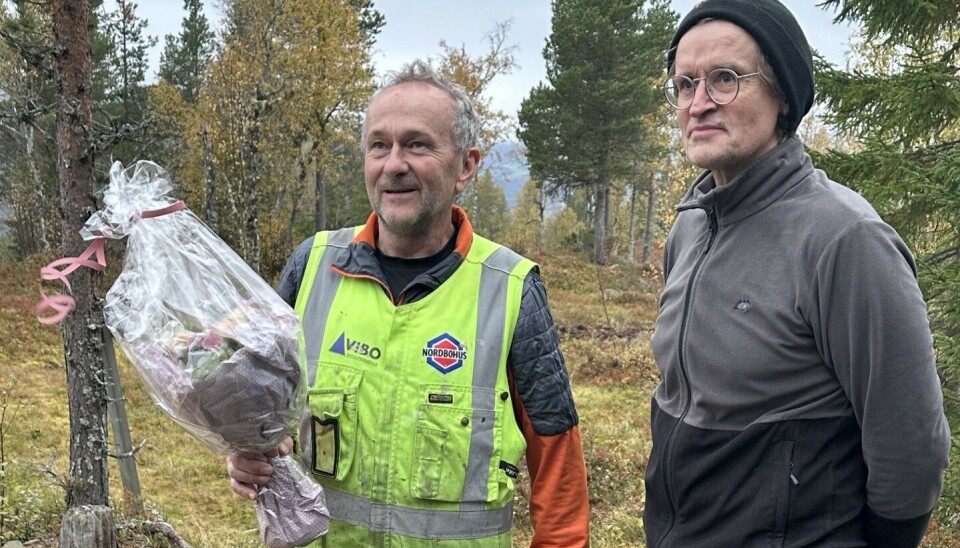 Baard Gåsvand fikk vite at han er Årets ildsjel mens han var i sitt rette element, på dugnad på Haraldhøtta. Leder i idrettsrådet, Jon Solem, overrakte blomster og inviterte til prisoverrekkelse og festkveld i Trondheim senere på høsten. En mann med gul snekkervest med blomsterbukett i hånden, sammen med en mann i grå genser og briller.
