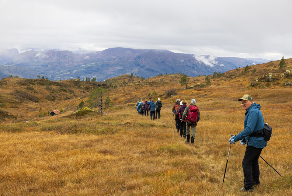Ned om Fjellhøttå. Ei lang rad med turgåere på en tursti over ei myr.