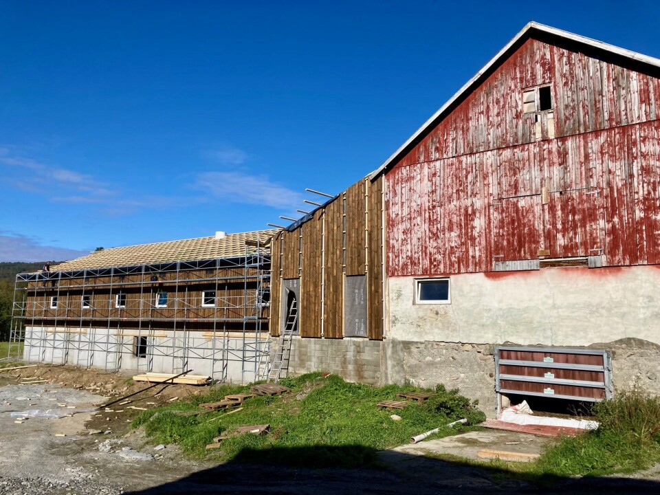 Nybygget er sammenført med det gamle fjøset, som skal få ny kledning i samme stil. I midten blir det inngang for veterinær, slik det er krav om. Et nybygg som henger sammen med et lite, gammelt fjøs med slitt maling.
