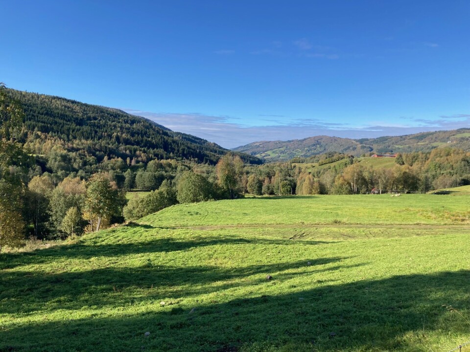 Gården har omlag 100 mål innmark, og driver i tillegg leiejord på et par av nabogårdene. Et jorde omkranset av skog