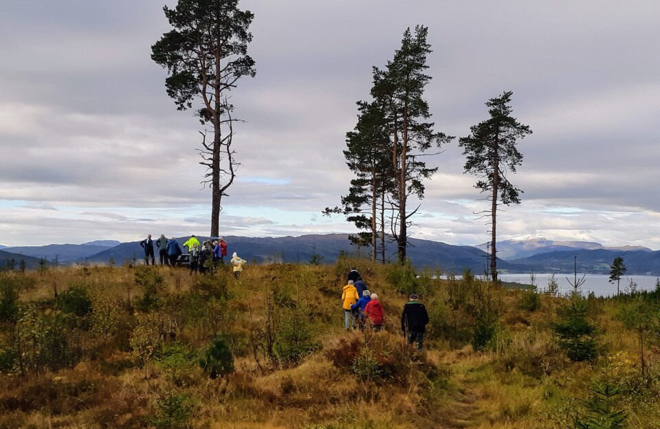 Stavgangtur til Øygardshalsen Flere personer som går på rekke på en tursti i marka.
