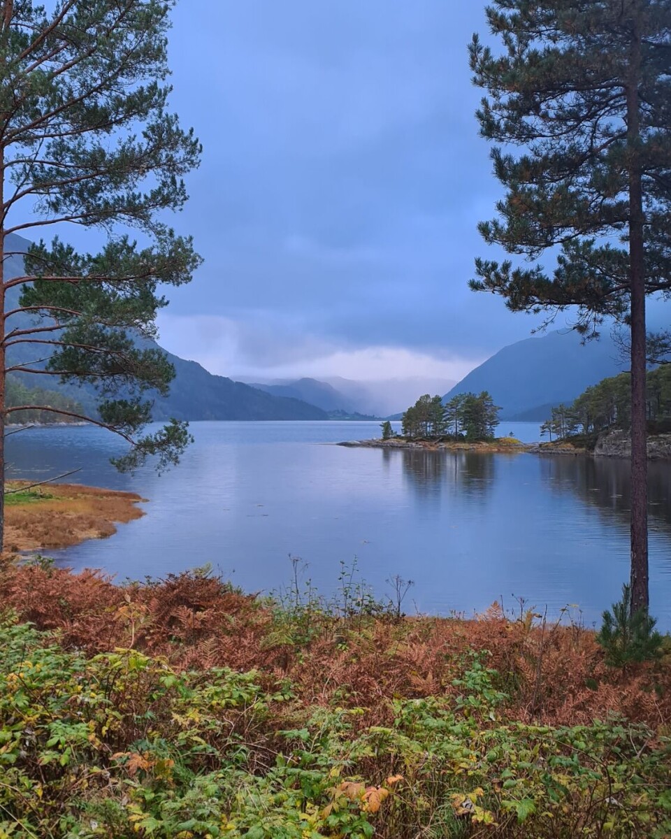 Holman i Åsskardfjorden. vann og høsttrær