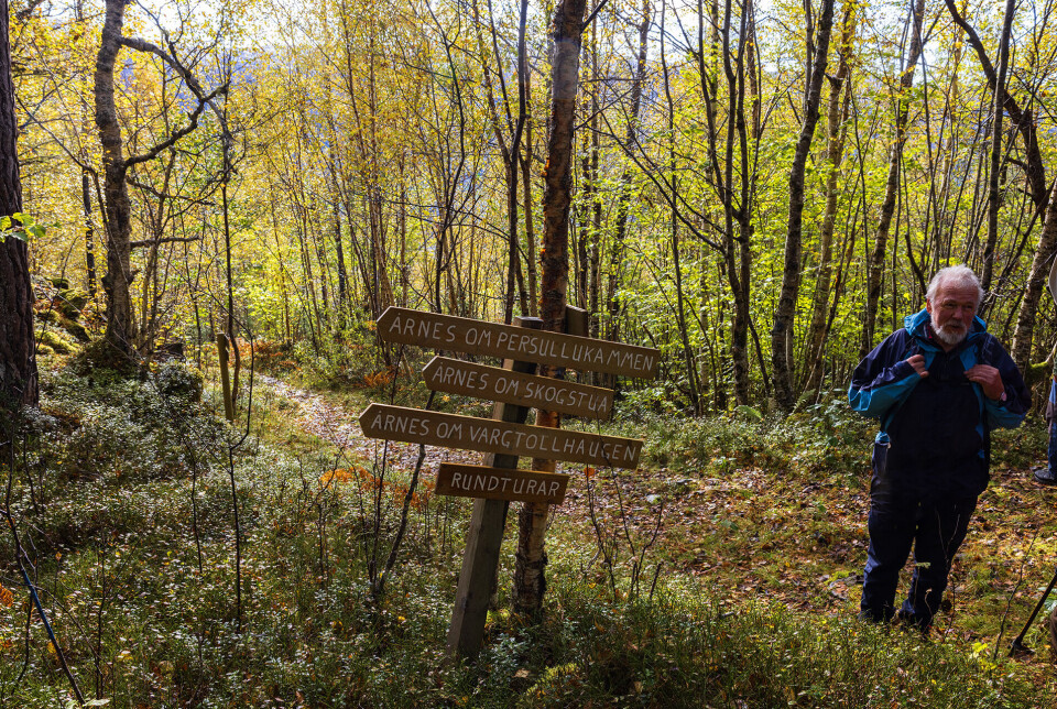 Imponerande med all skiltinga utført av Svein Årnes i heile Årnesmarka. En turkledd mann som står på en tursti i skogen, ved siden av noen skilt som viser vei til ulike lokale plasser.