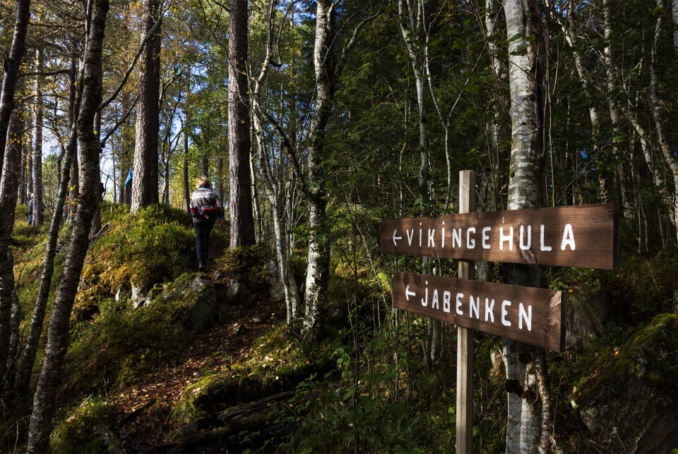 På tur til Jabenken To skilt i skogen som viser vei til henholdsvis 'Vikinghula' og 'Jabenken'. I bakgrunnen ei dame på vei oppover turstien.