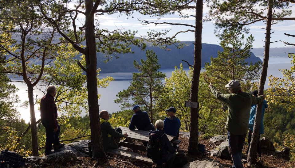 Orienterer oss fra Jabenken. Flere turkledde personer som nyter utsikt mot fjord og fjell fra en rasteplass i skogen.