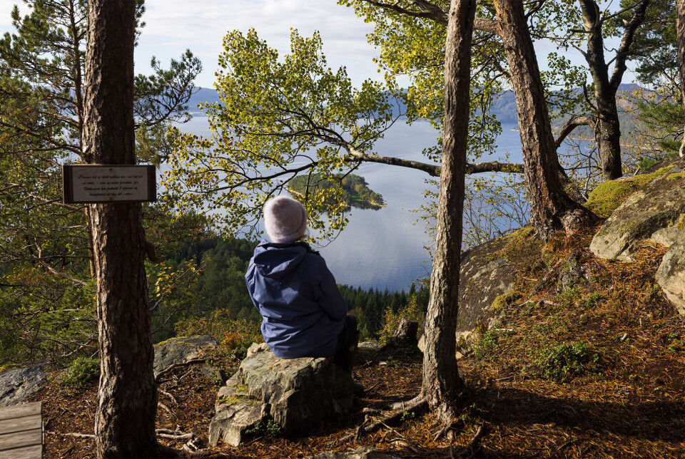 Utsyn til Hamnesfjorden med vakre Vargøya. Ei dame som sitter på en stein på et utkikkspunkt i skogen, med ryggen mot fotografen. Utsikt mot fjord og fjell.