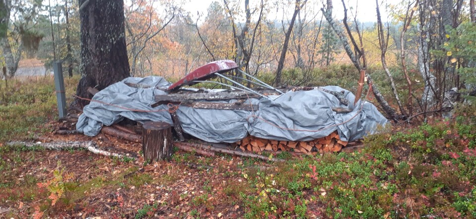 Dette er det som er igjen av hytteeierens vedlager, som var over en meter høyt med 40 cm lange vedkubber, En vedstabel ute i skogen, med presenning over.