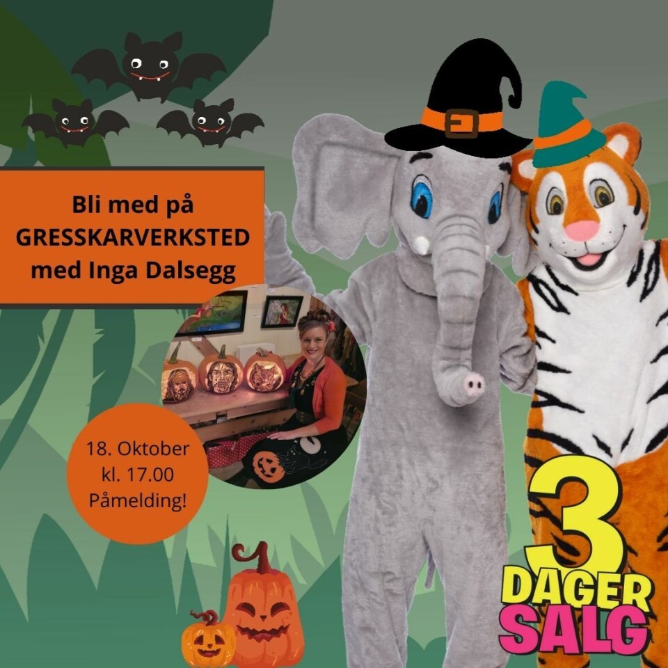 Gresskar-verksted hos Alti Surnadal