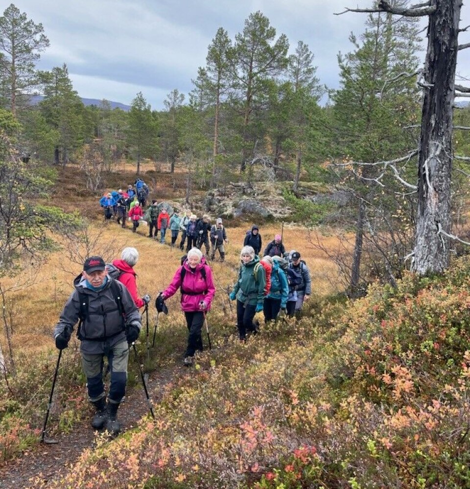 Vi fulgte merkastien ned til brua over Langvassbekken og videre til Trollheimstunet. Mange turkledde personer som går på rekke og rad på en tursti i marka.