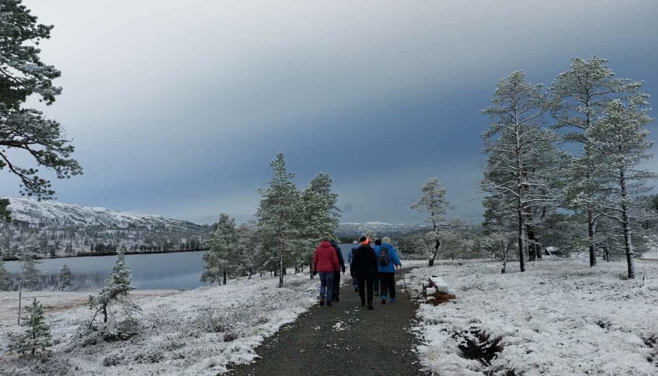 Turgåere på sti med snø rundt