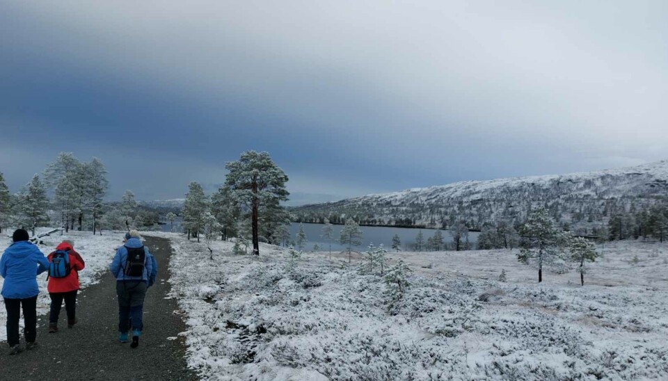 Langvatnet Turgåere på sti med snø rundt