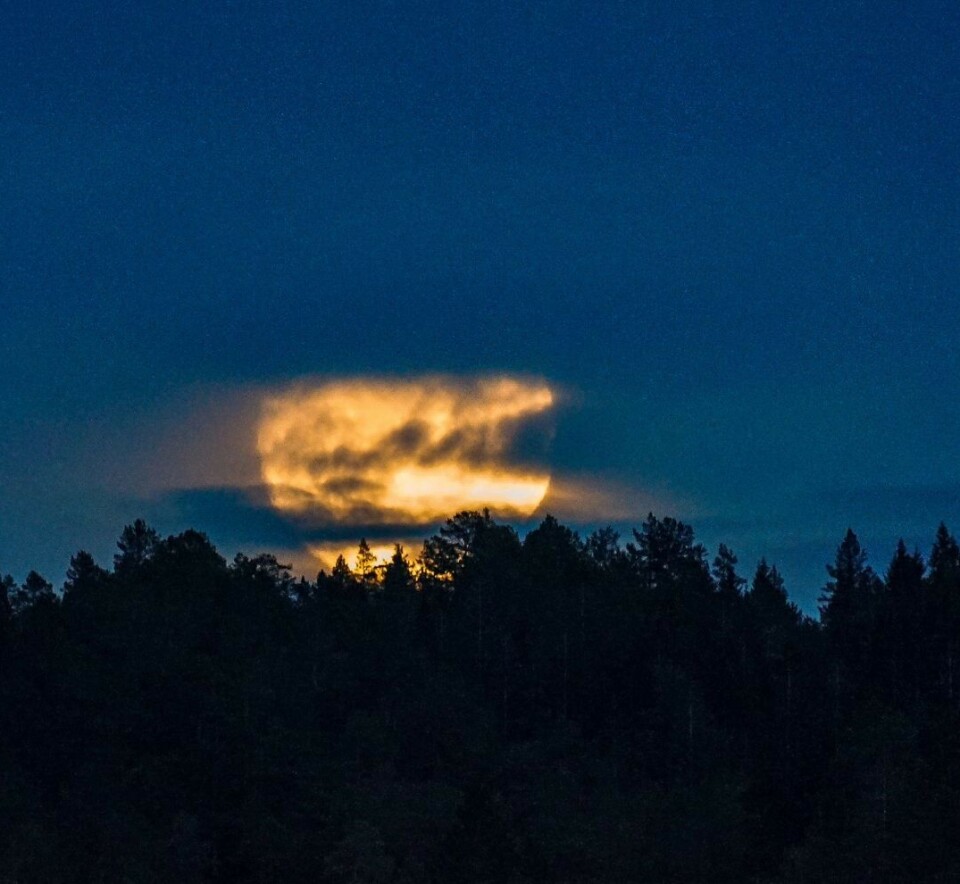 Den viste seg et kort øyeblikk over skogkanten før den forsvant bak skyene. 😃