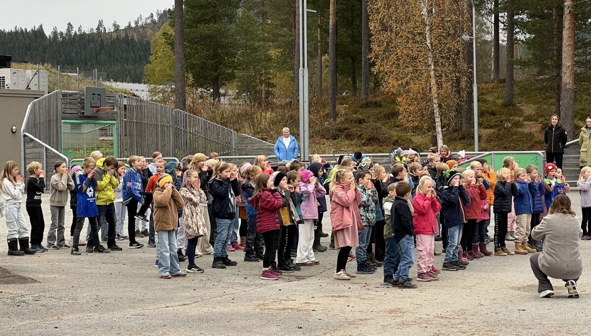 TV-aksjonen ved Rindal skole