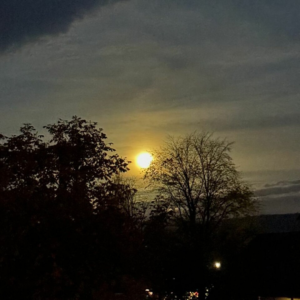 God morgen!
Super månen for noen dager siden, sjelden flott 🌝