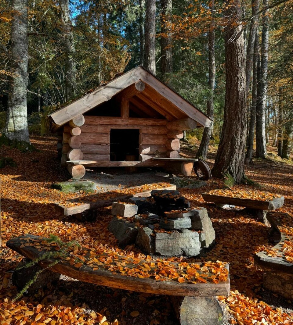 På tur på den Trondhjemske postvei til Bøkeskogen 🍂🍁 som er en utrolig fin plass. #gamlepostvei #bøkeskogen #stangvik #utina Ei lita høyløe på en rasteplass i en skog med veldig høye trær.