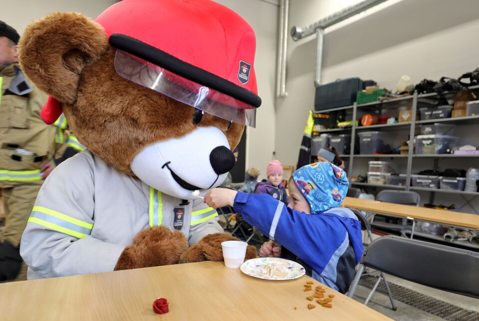 Bjørnis spurte om å få litt kake. Det fikk han selvfølgelig. Gutt leke-mater bamsen med skje.