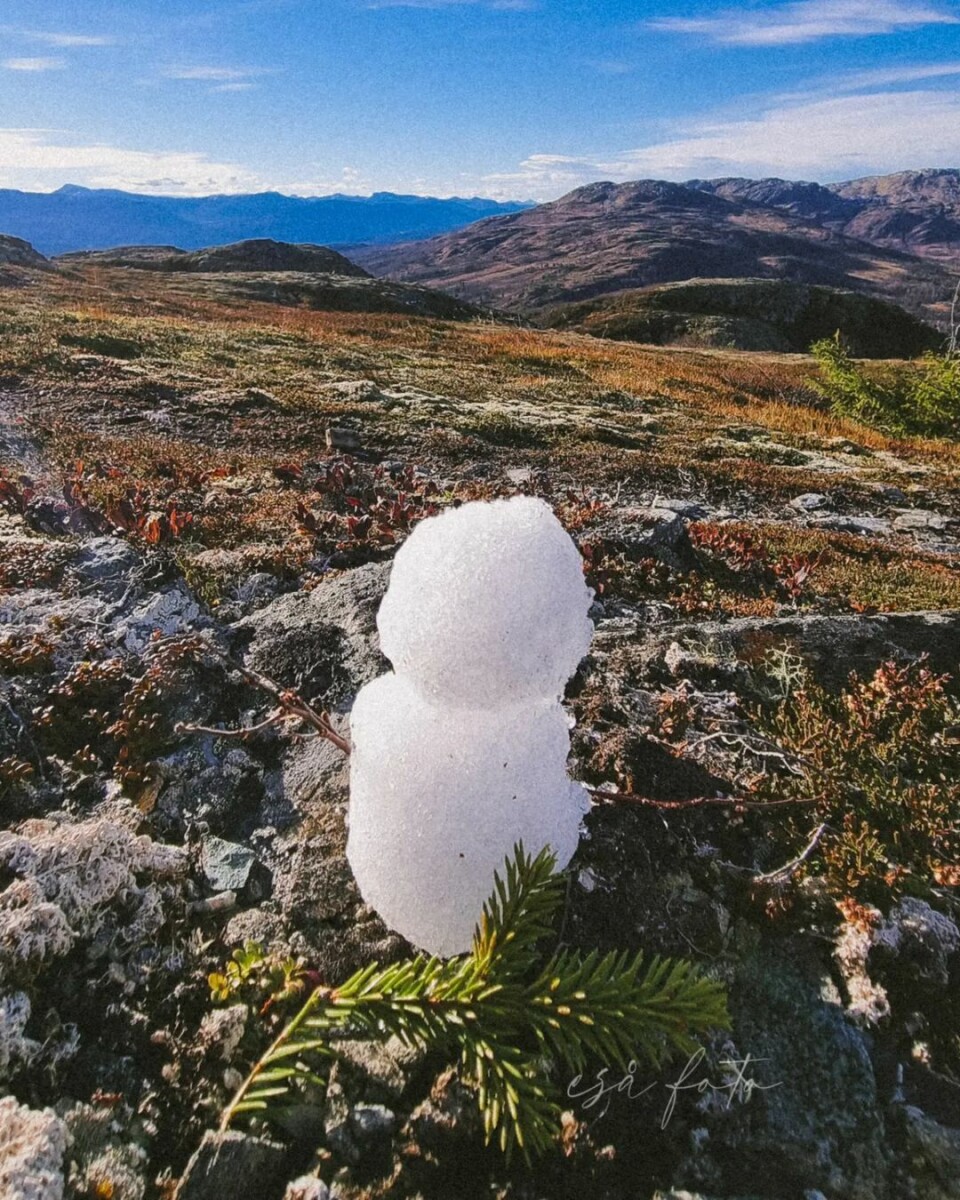 Snømann med utsikt⛄️ (Langskarven) En bitteliten snømann på fjellet, med utsikt.
