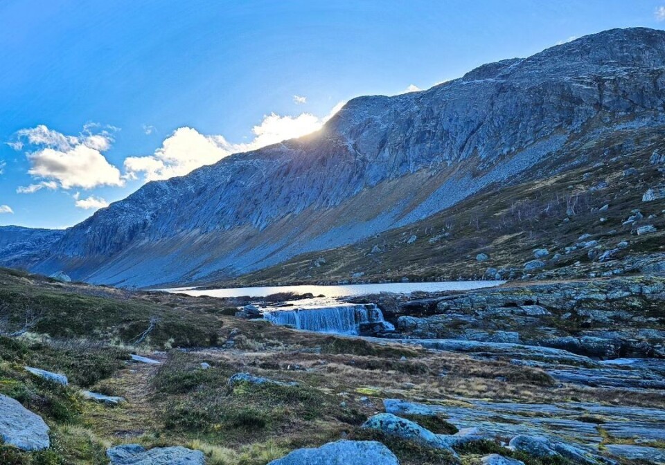 Fin søndag i Vindøldalen i Trollheimen med tur til Vassdalen 🤩 En bakk på fjellet.