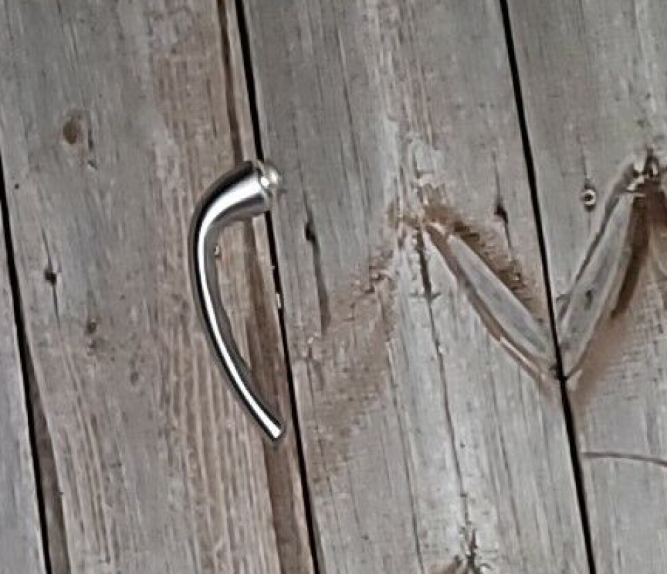 Dørhåndtaket på verandadøra var ødelagt. Et dørhåndtak som ligger på et plankegulv.