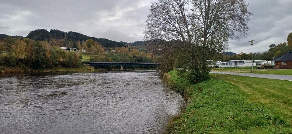 Nedre del av Brekkøya mot Øye bro. Surna elva